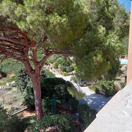 Villa Paladino Solunto Santa Flavia Luaran gambar