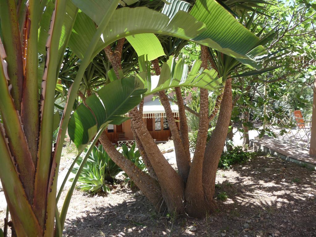 Villa Paladino Solunto Santa Flavia Luaran gambar